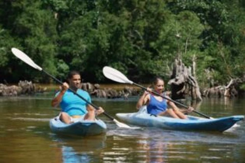 kayak trips in northwest florida