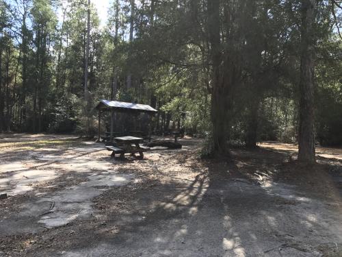 tent site 1 - camping in Florida