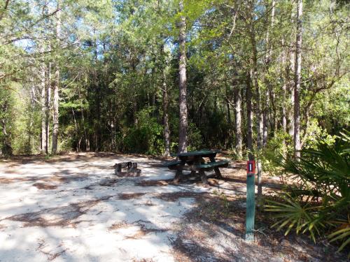 tent site 1 - camping in Florida