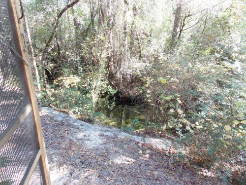 canoeing northwest florida