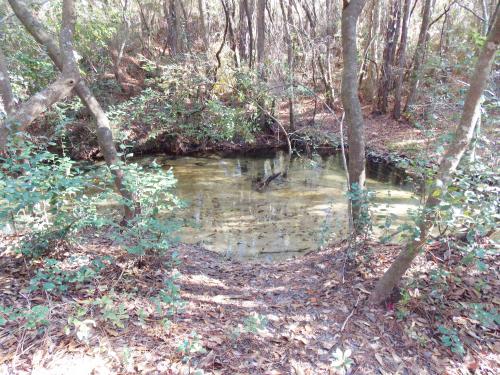 canoeing northwest florida