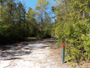 tent site 1 - camping in Florida