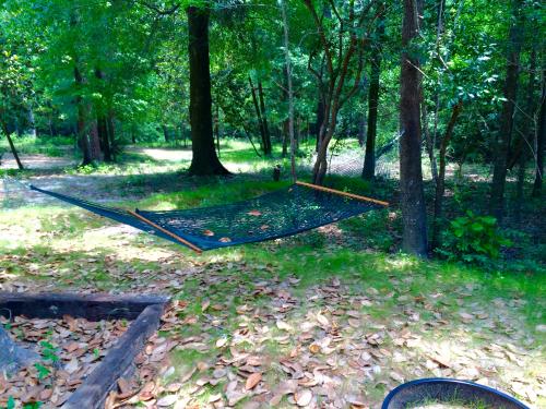 canoeing northwest florida