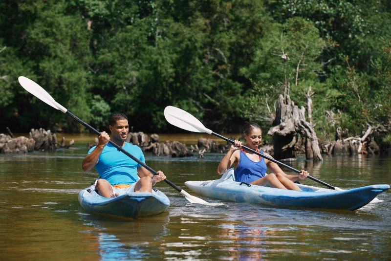 Whether you are an experienced paddler or a beginner, there is a canoe trip that will suit your needs.