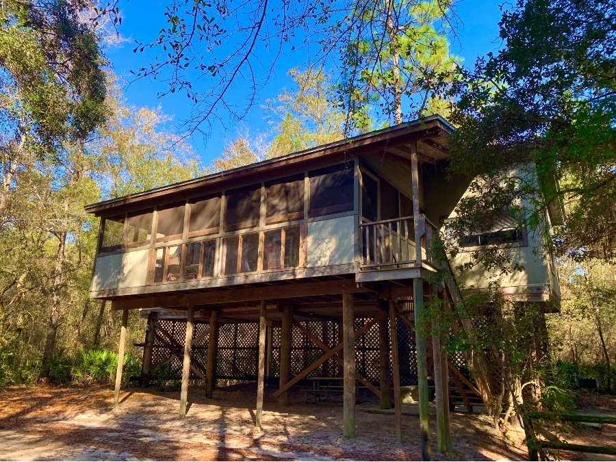 blueberry secluded cabin