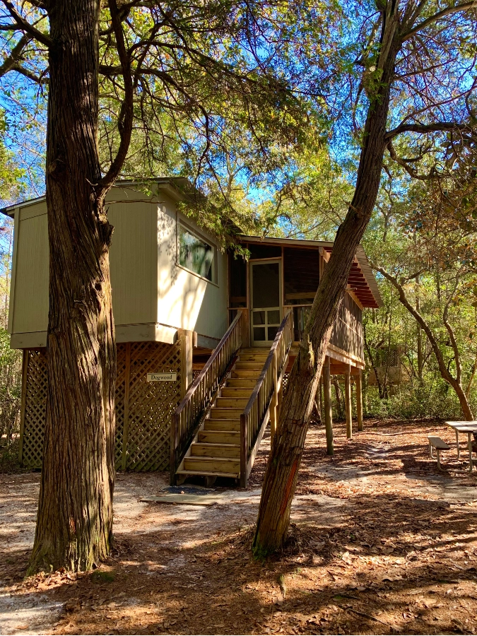 dogwood secluded cabin