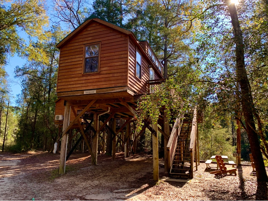 sarracenia cabin rental in northwest florida