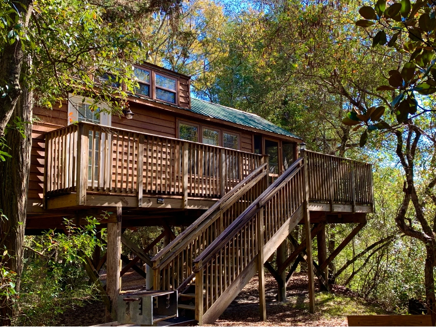 palmeto secluded cabin