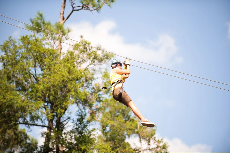Forest Flight Zipline Tour